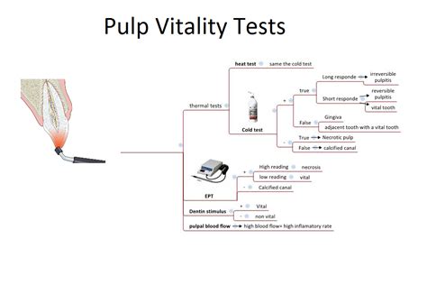 Beating Pulp Tester purchase|how to determine pulpal status.